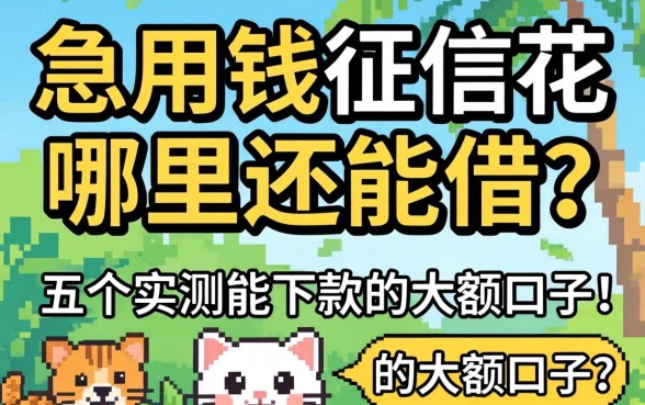 急用钱征信花哪里还能借？分享五个实测能下款的大额口子