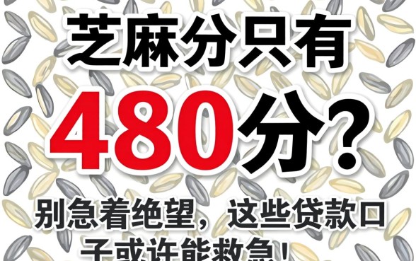 芝麻分只有480分？别急着绝望，这些贷款口子或许能救急！