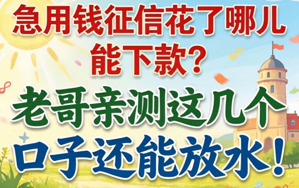 急用钱征信花了哪儿能下款？老哥亲测这几个口子还能放水！