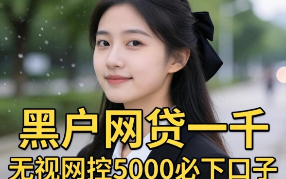 我试了2026黑户网贷一千和无视风控5000必下口子,结果和我想的完全不一样