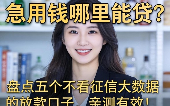 征信黑了急用钱哪里能贷?盘点五个不看征信大数据的放款口子,亲测有效!