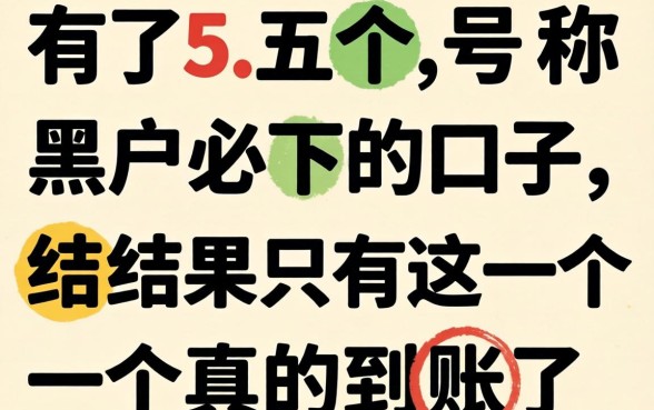 我试了五个号称黑户必下的口子，结果只有这一个真的到账了