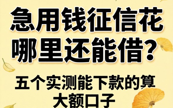 急用钱征信花哪里还能借？分享五个实测能下款的大额口子