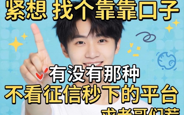 手头紧想找个靠谱口子，有没有那种不看征信秒下的平台？求老哥们推荐几个稳的！