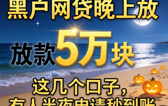 黑户网贷晚上放款5万块：这几个口子有人半夜申请秒到账