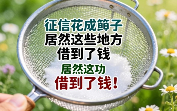 我征信花成筛子，居然在这些地方借到了钱
