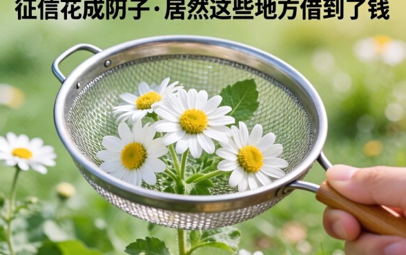 我征信花成筛子，居然在这些地方借到了钱