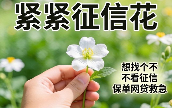 手头紧征信花，想找个不看征信的保单网贷救急，大家有靠谱路子推荐吗？