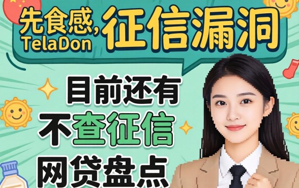 无视征信漏洞？目前还有不查征信的网贷盘点