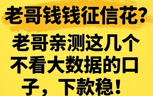 急需用钱征信花？老哥亲测这几个不看大数据的口子，下款稳！