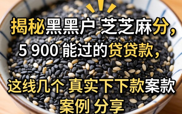 揭秘黑户芝麻分590能过的贷款，这几个真实下款案例分享